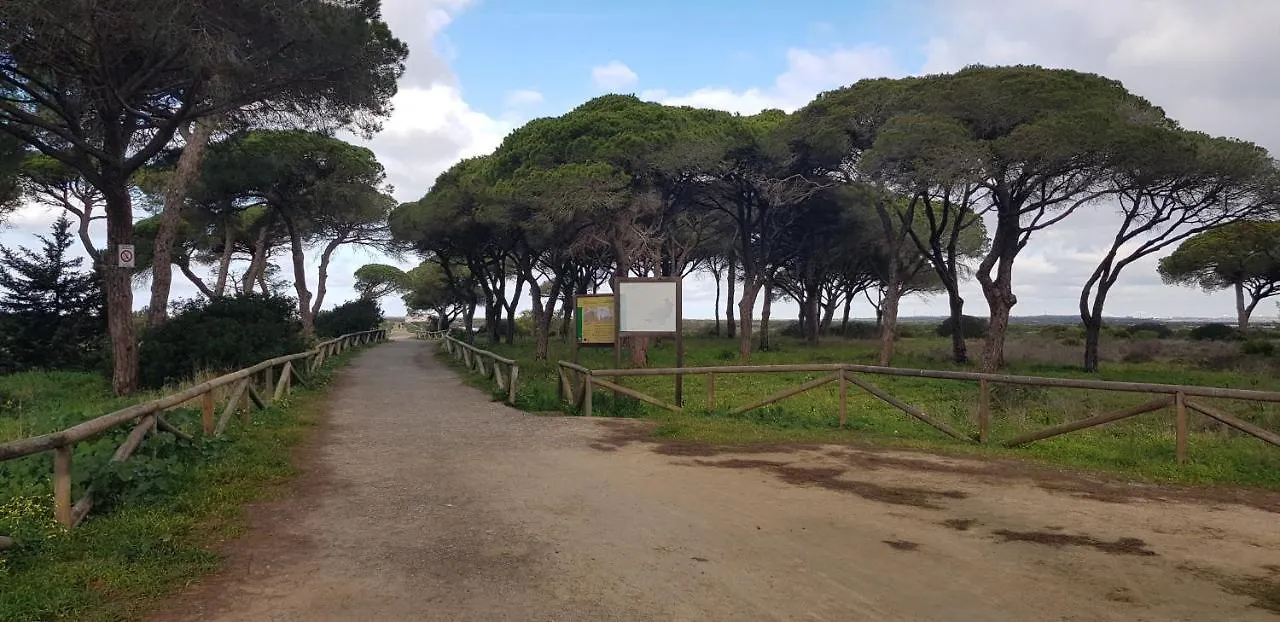 Las Nubes En Sancti Petri-Chiclana Chiclana de la Frontera 0*,